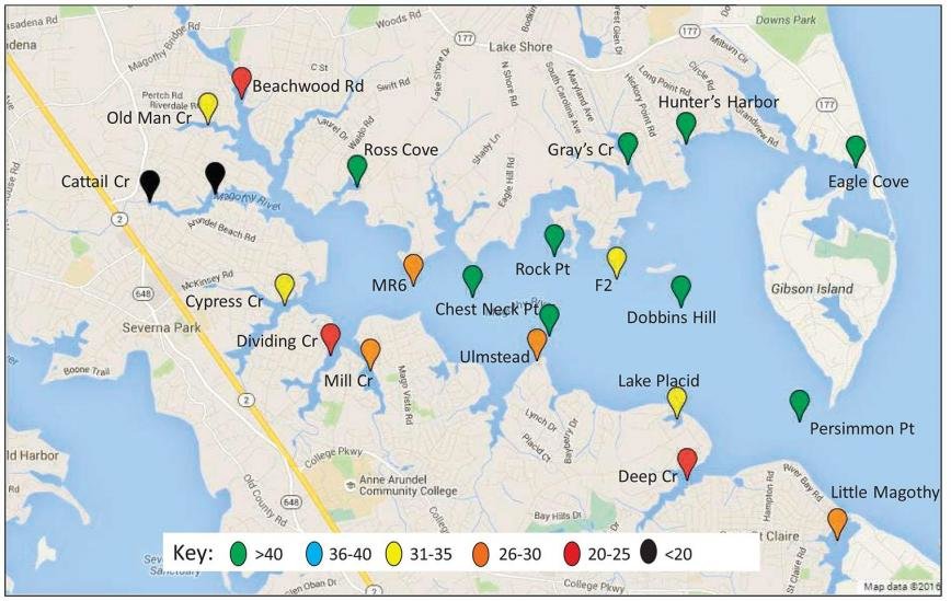 “The Magothy Is Sick, But It’s Not Terminal” | Severna Park