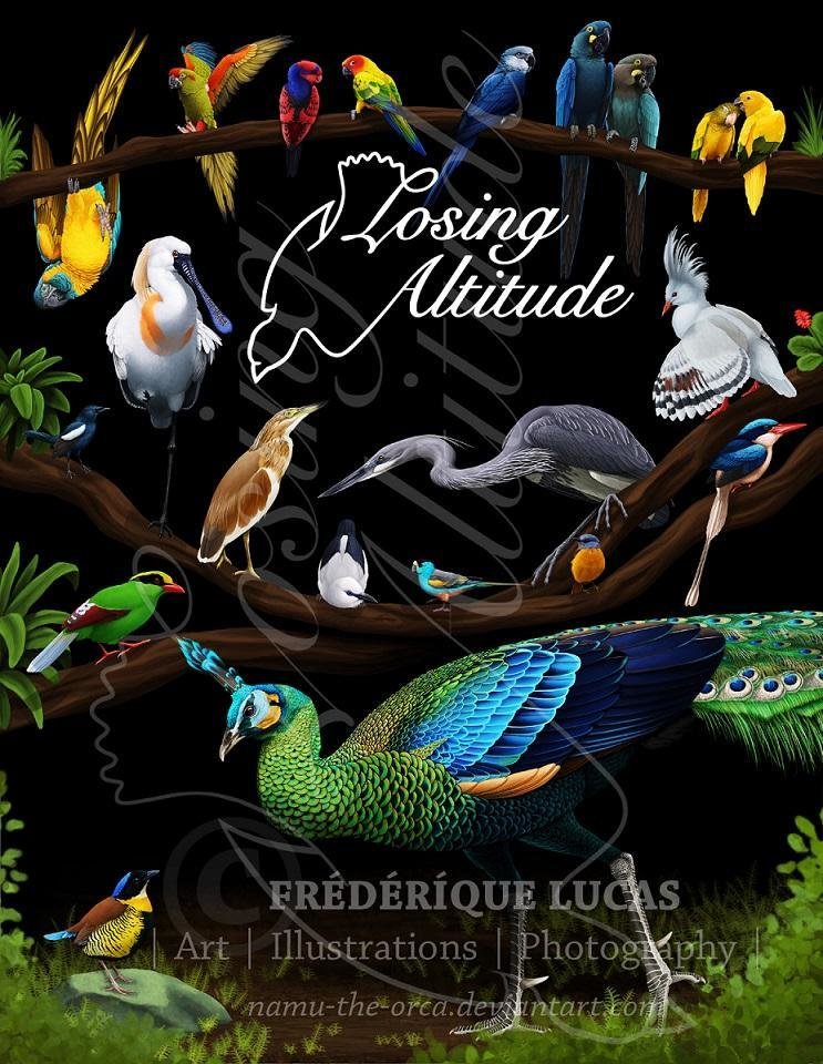 Former Severna Park resident Arras Wiedorn and a group of artists created a bird book to educate people about different species. The cover for “Losing Altitude” was designed by Frédérique Lucas, and the logo was made by Chantal Lay.