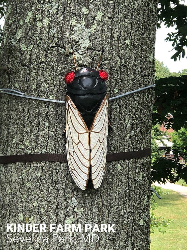 Visitors at Kinder Farm Park can find Carolyn Fite’s eight-pound cicada sculpture by the visitor’s center now through September.