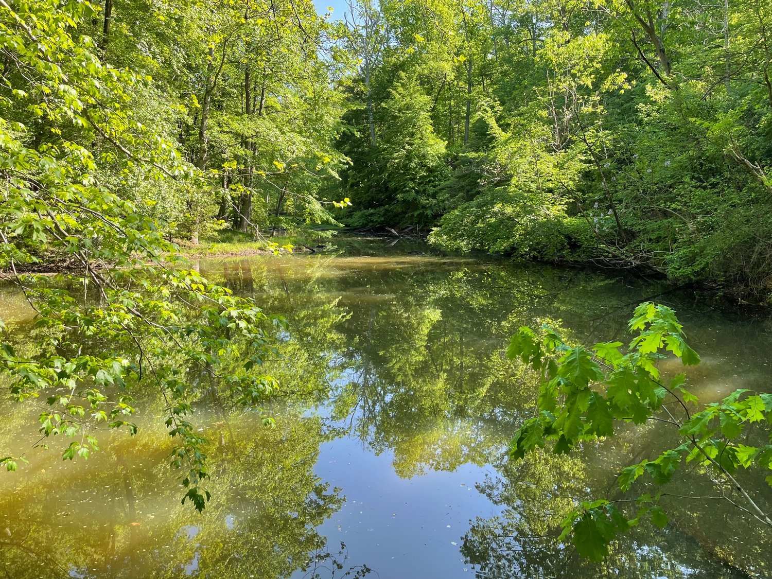 Scenic Rivers Land Trust Protects 24 Acres In Arnold | Severna Park