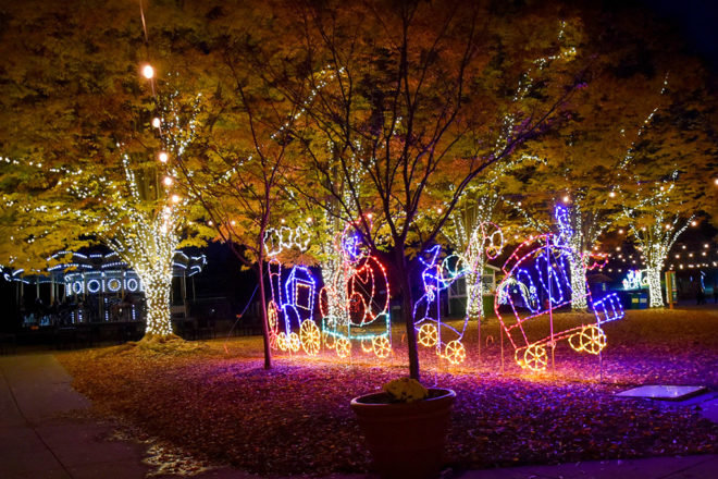 Visitors to the Maryland Zoo Lights can walk through a festival of lights shaped like wildlife and enjoy snacks and hot chocolate.