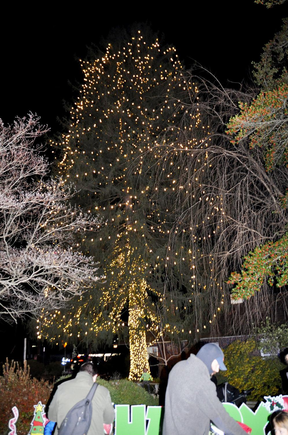 At more than 70 feet tall and 40 feet wide, the evergreen tree will be illuminated every night from 5:00pm-10:00pm throughout December.