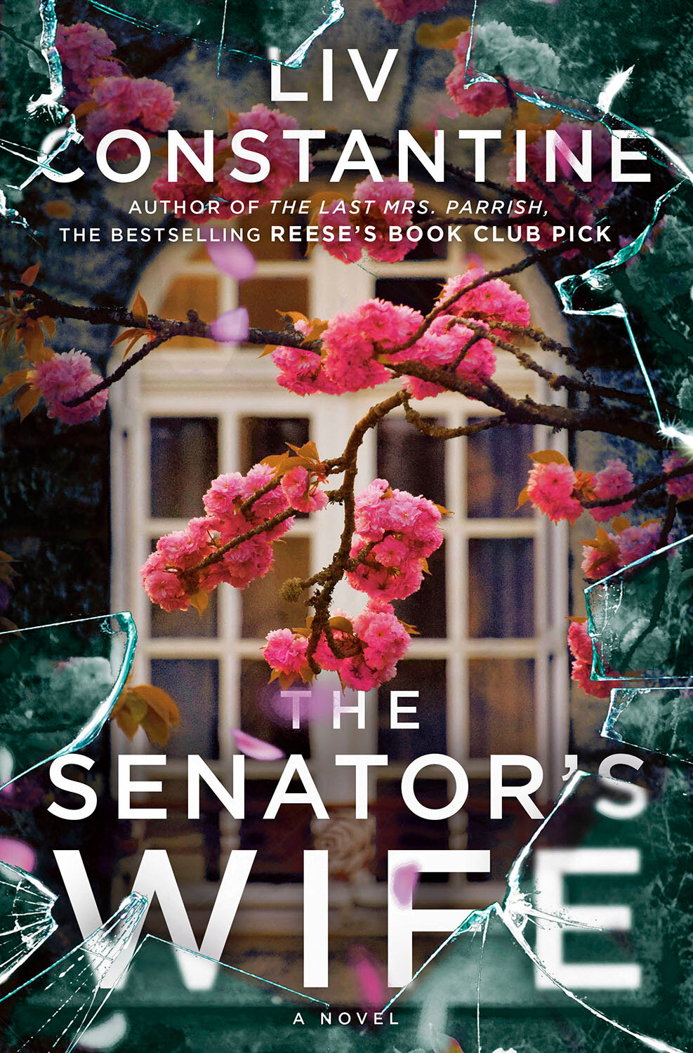 Released in May, “The Senator's Wife” is a psychological suspense tale about a philanthropist who suspects that her seemingly perfect employee is secretly plotting to steal her husband, her reputation and even her life.