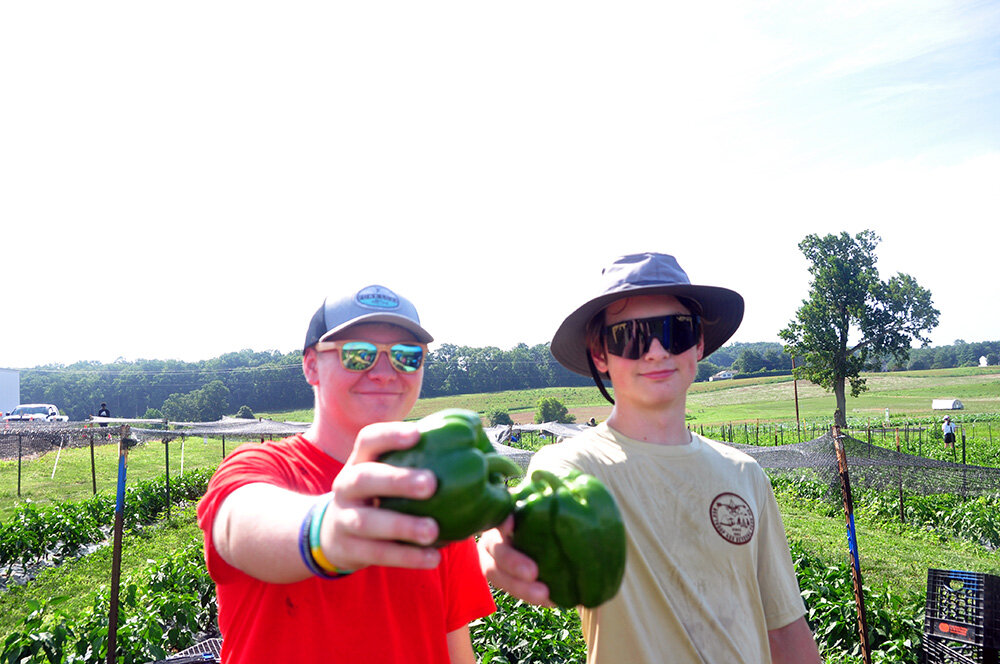 Senior patrol leader Jonathan Davis (left) and patrol leader Grant Miller visited First Fruits Farm in Freeland, Maryland, to harvest produce on July 29.