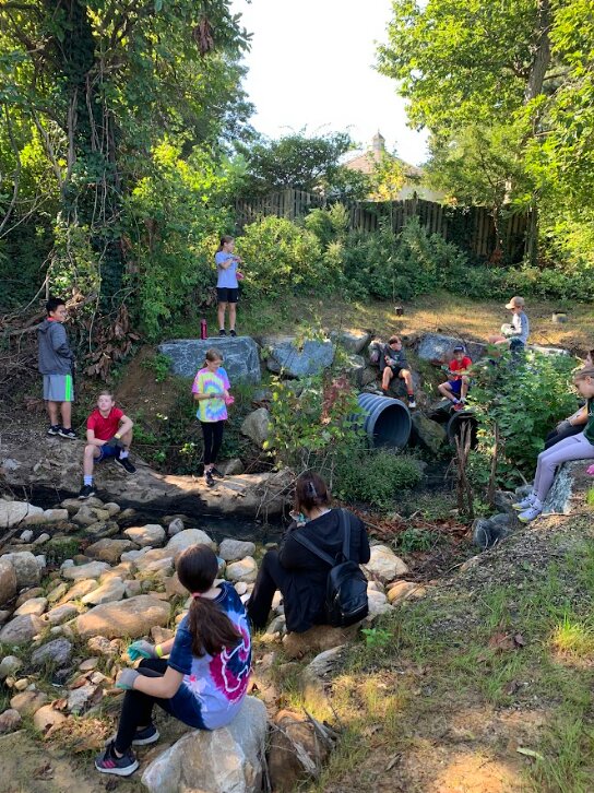 Students from Severna Park, Severn River and Magothy River middle schools partnered to plant trees and shrubs, conduct water-quality testing, and perform other tasks to beautify an area near Mill Creek this fall.