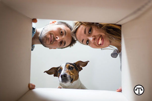 With proper preparation, your pets will be able to    handle a household move with ease.